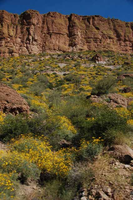 along the Apache Trail